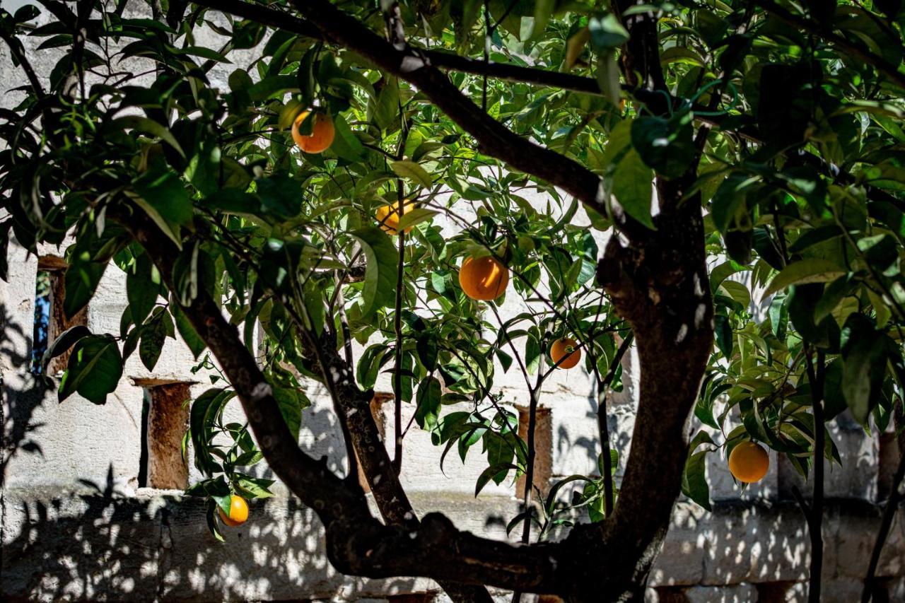 Antica Casina B&B Di Charme Pulsano Bagian luar foto