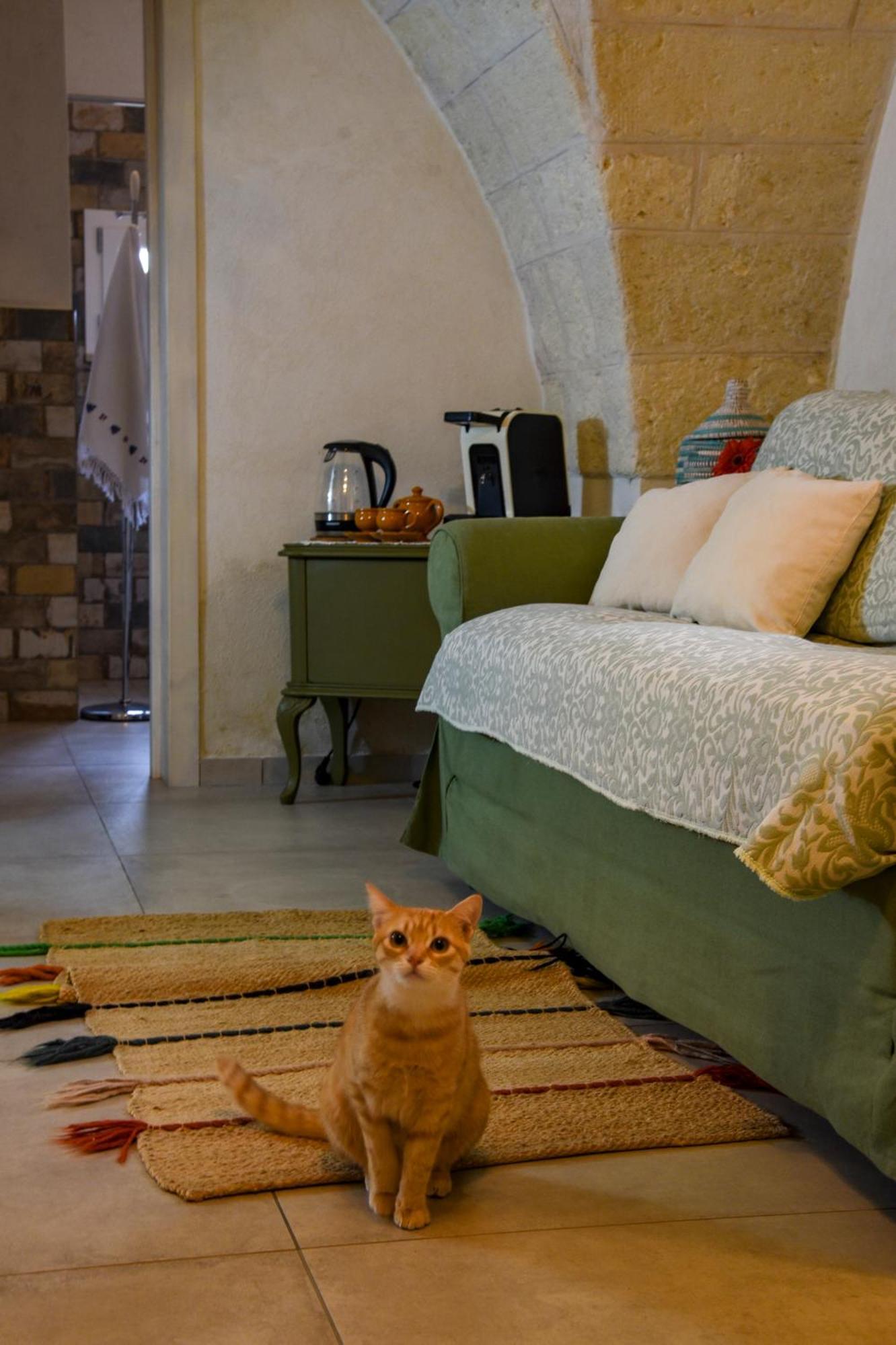 Antica Casina B&B Di Charme Pulsano Bagian luar foto