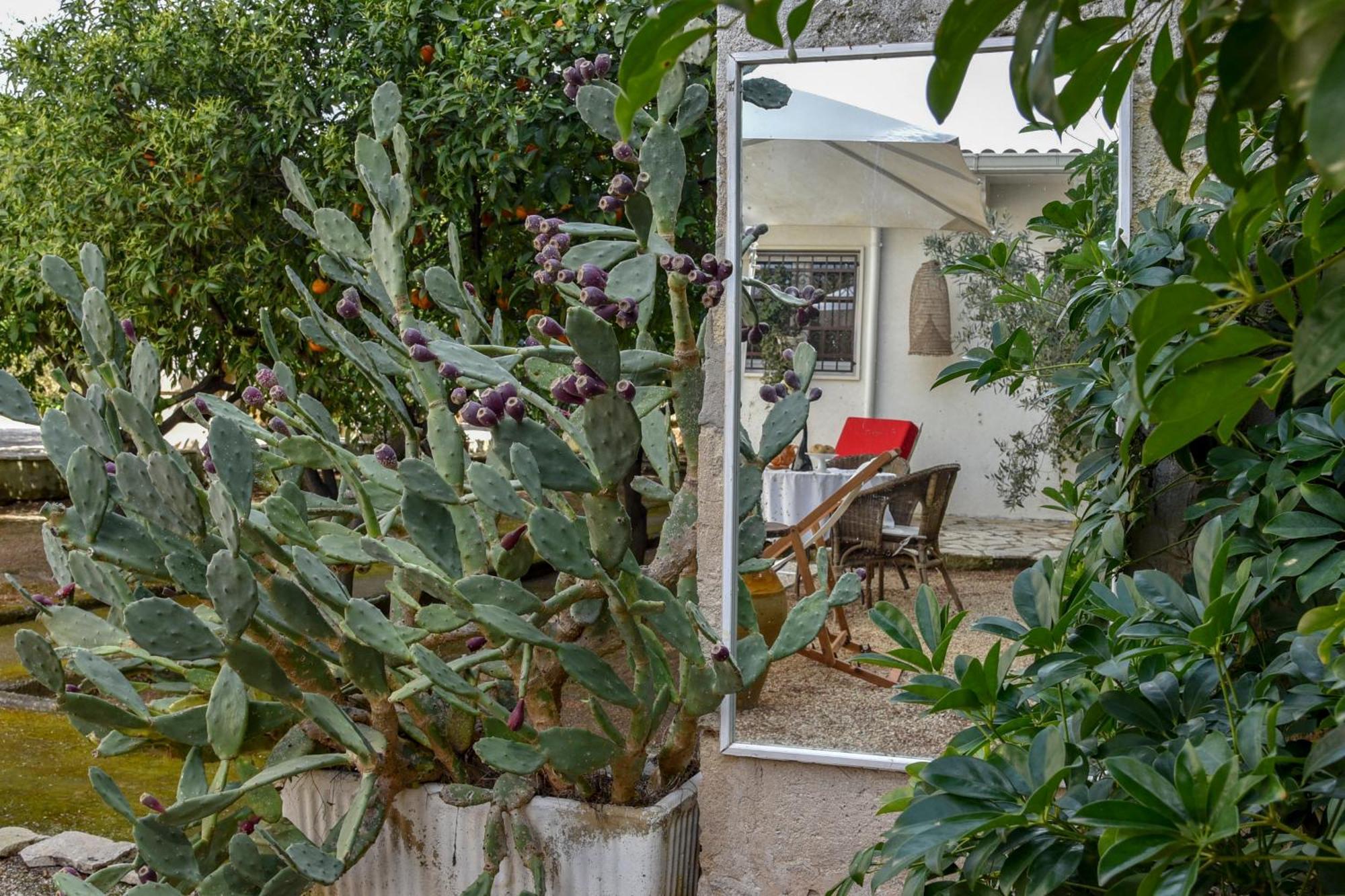 Antica Casina B&B Di Charme Pulsano Bagian luar foto